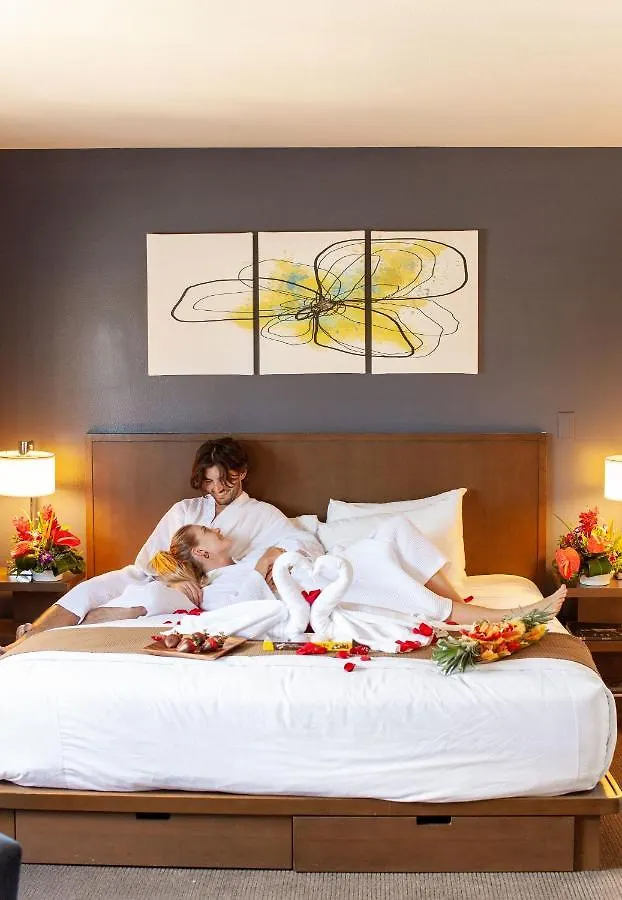 Vive Hotel Waikiki Honolulu